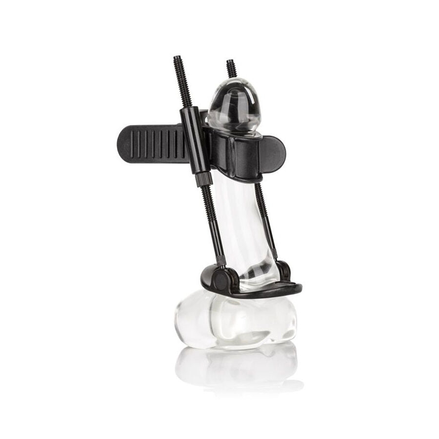 Calexòtics - Penis Extender Equipment of Penis