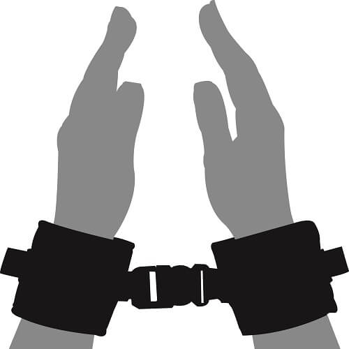 LOVING JOY - BEGINNERS WRIST RESTRAINTS