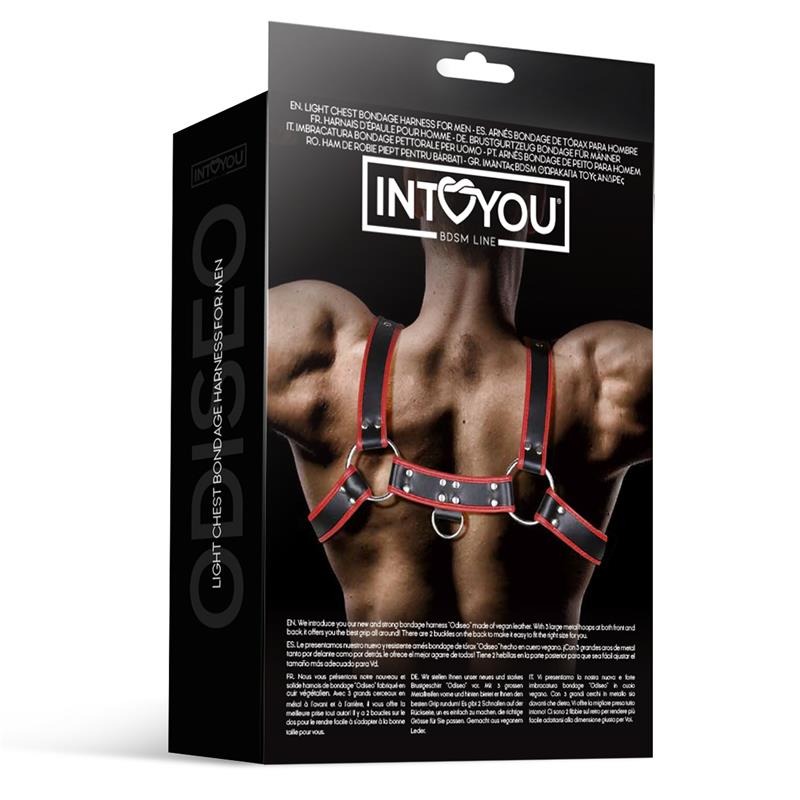 INTOYOU BDSM LINE - ODISEO ARNÉS MASCULINO PARA EL PECHO CUERO VEGANO