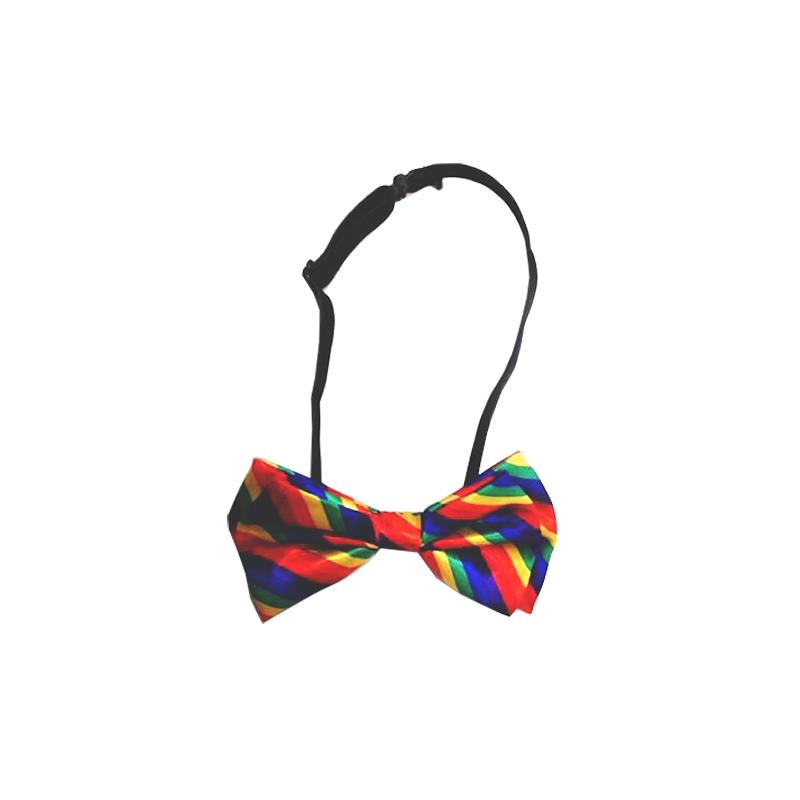 DIVERTY SEX - PAJARITA CON LA BANDERA LGBT+