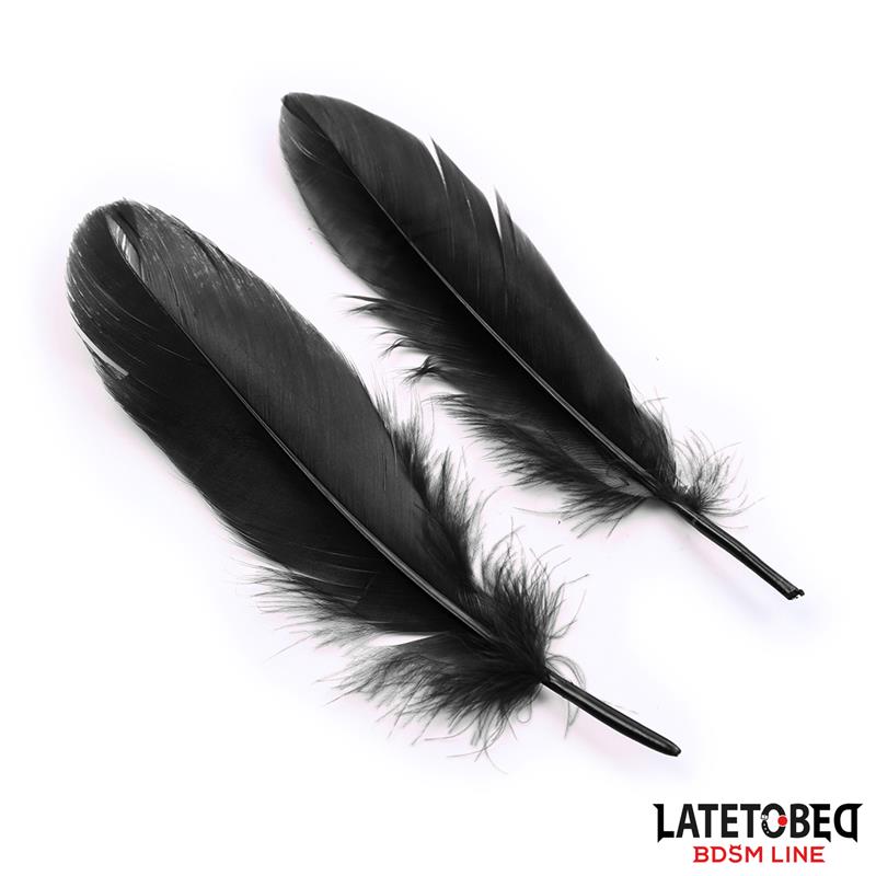 LATETOBED BDSM LINE - SET DE 3 PIEZAS ANTIFAZ, ESPOSAS Y PLUMAS NEGRO