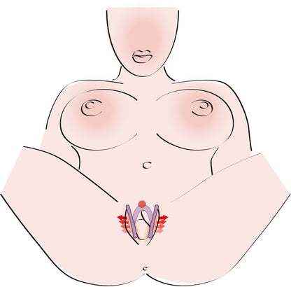 YOU2TOYS - INTIMATE SPREADER