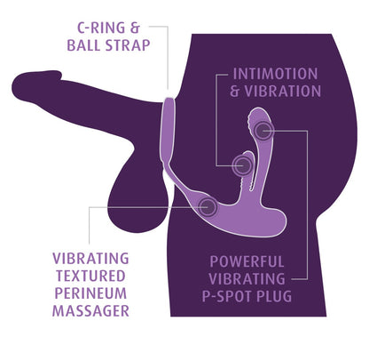 ANAL FANTASY ELITE - ASS-GASM INTIMOTION