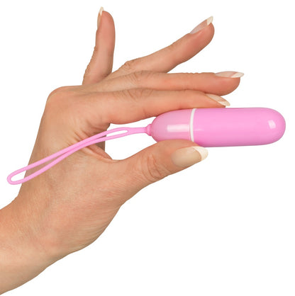 SWEET SMILE - RC PANTY VIBRATOR