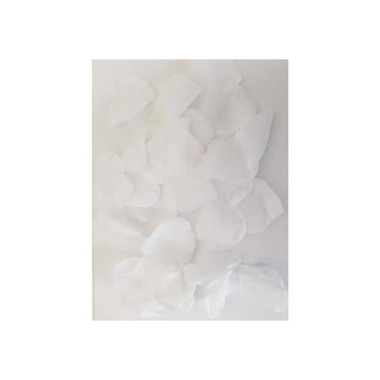 DIVERTY SEX - 100 PÉTALOS  COLOR BLANCO