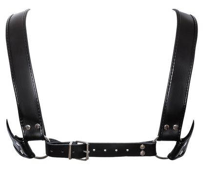 ZADO - HARNESS
