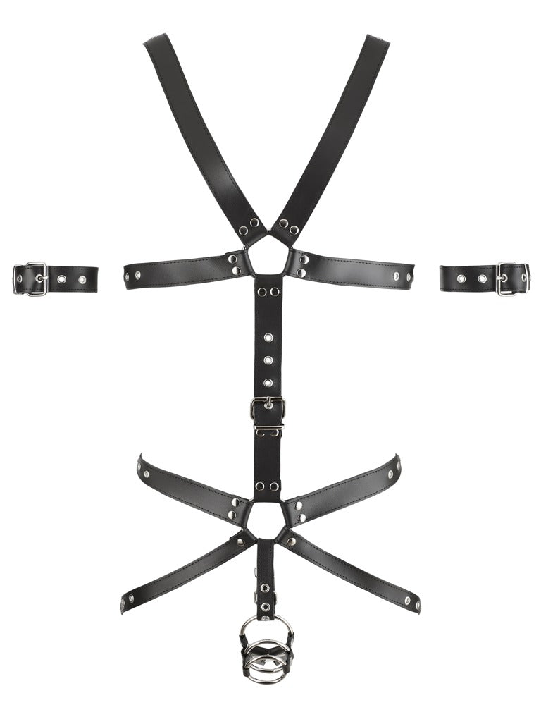 ZADO - HARNESS