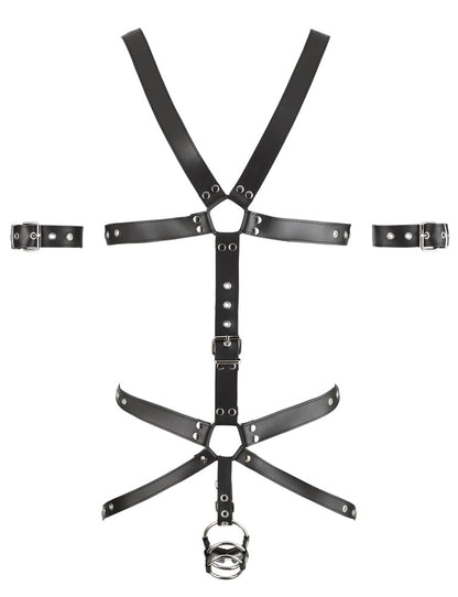 ZADO - HARNESS