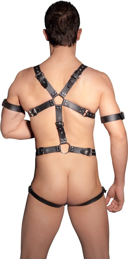 ZADO - HARNESS