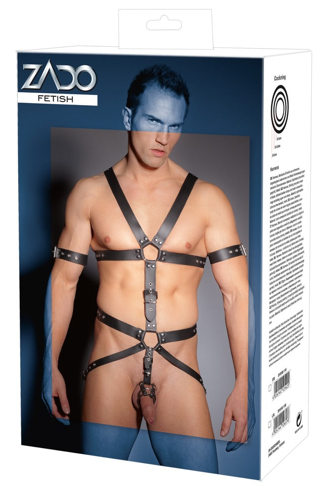 ZADO - HARNESS