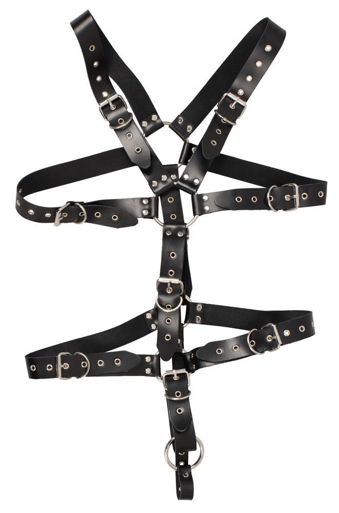 ZADO - HARNESS