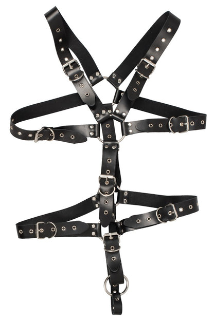 ZADO - HARNESS