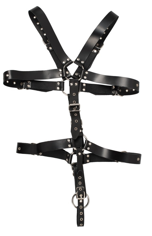 ZADO - HARNESS