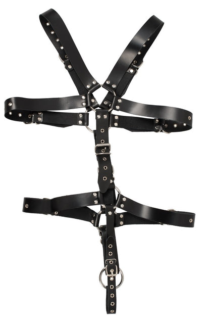 ZADO - HARNESS