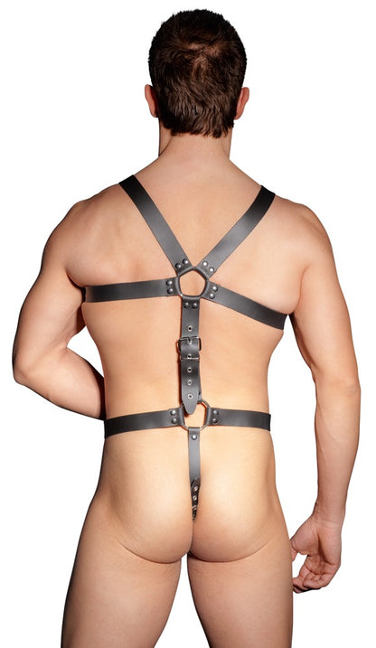 ZADO - HARNESS