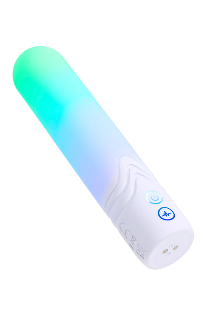 PARADISE PLEASURE PRODUCTS - THE BULLET