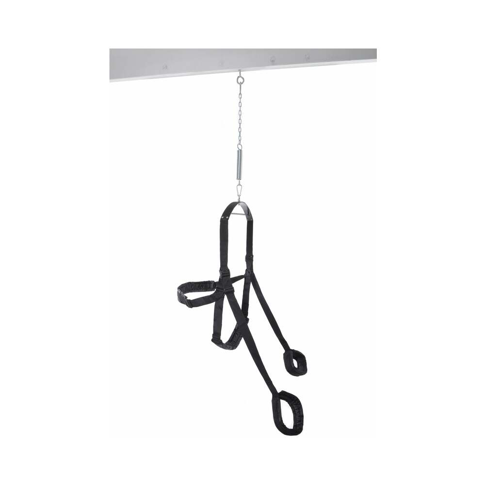 PIPEDREAM - FETISH FANTASY SERIES FANTASY SWING BLACK