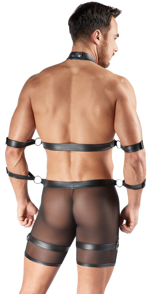 SVENJOYMENT - SET