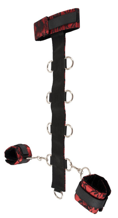 BAD KITTY - COLLAR