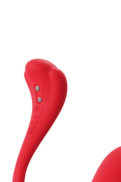 PHOENIX NEO 2