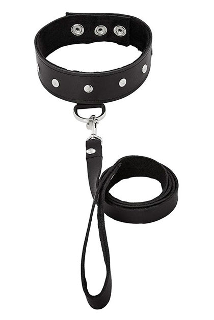 LEATHER LEASH & COLLAR