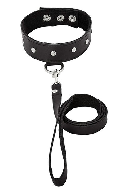 LEATHER LEASH & COLLAR