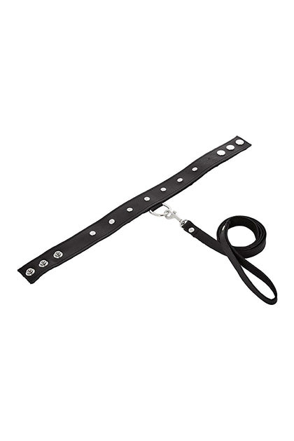 LEATHER LEASH & COLLAR