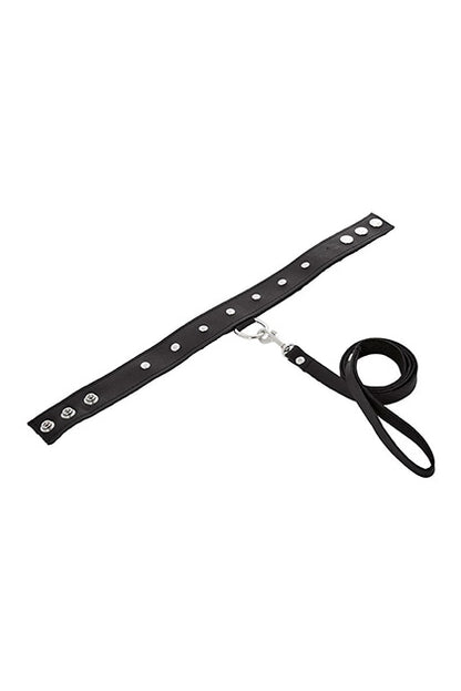 LEATHER LEASH & COLLAR