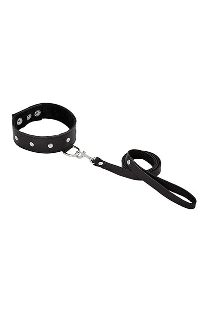 LEATHER LEASH & COLLAR
