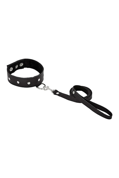 LEATHER LEASH & COLLAR