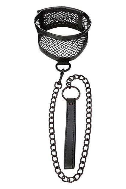 Fishnet Collar and Leash
