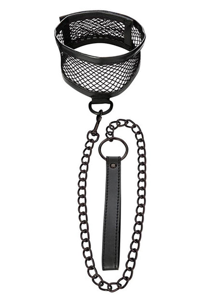 Fishnet Collar and Leash