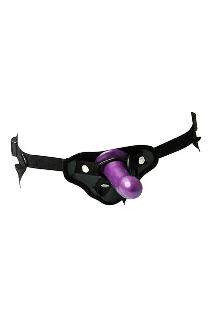SPORTSHEETS - ANAL EXPLORER KIT