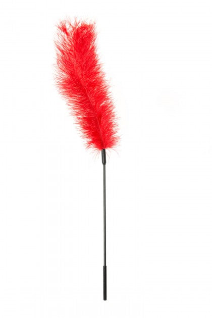 SPORTSHEETS - OSTRICH TICKLER - RED