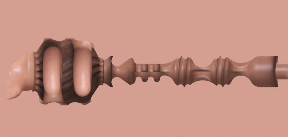 FLESHLIGHT - BOOST