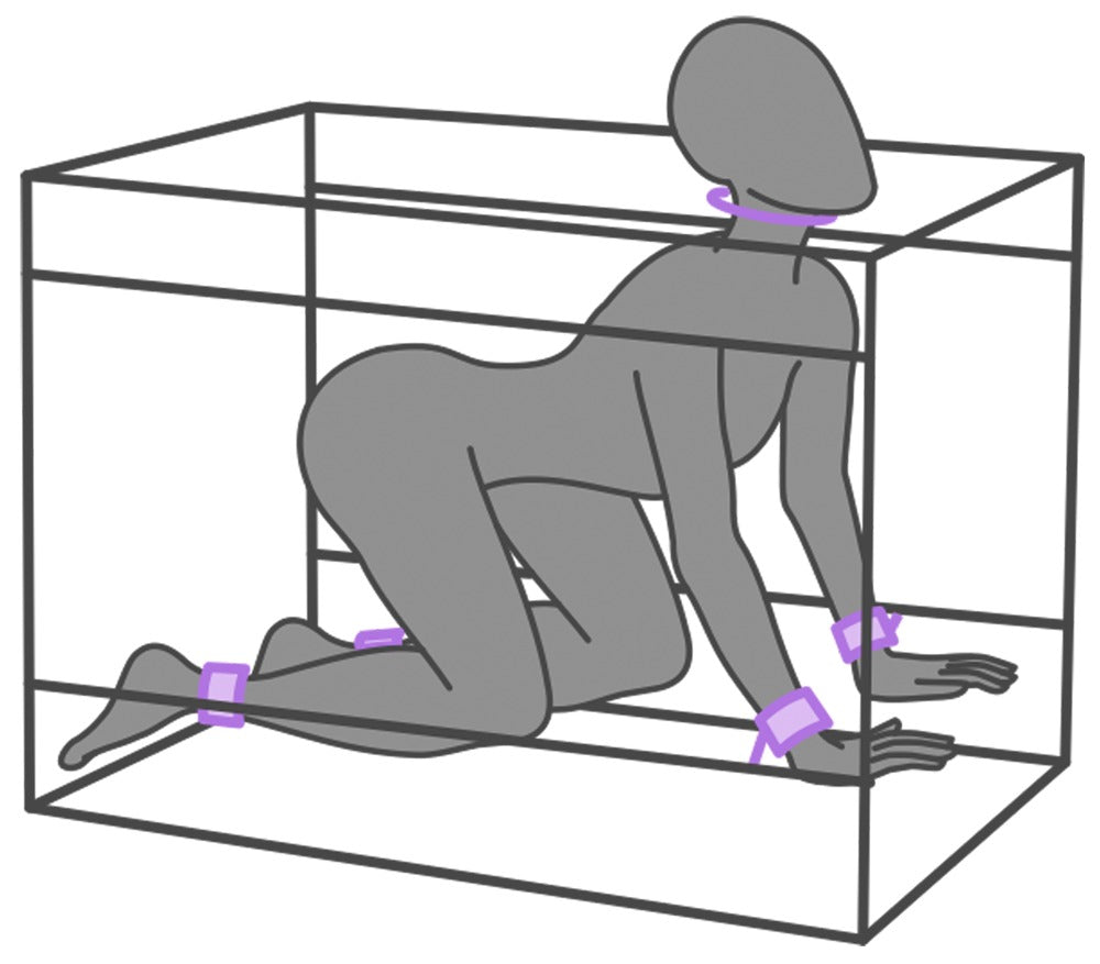 SECRET DOME - LA NICHE