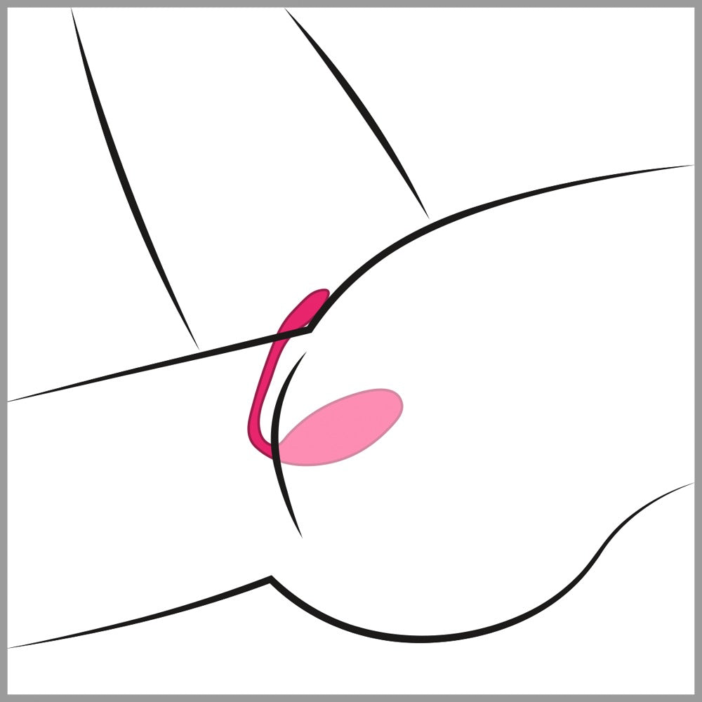 LOVENSE - LUSH 3