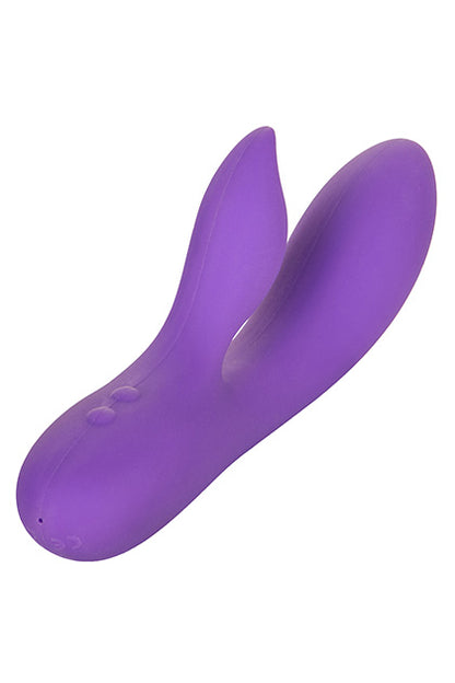 CALEXOTICS - SILHOUETTE S19 - PURPLE