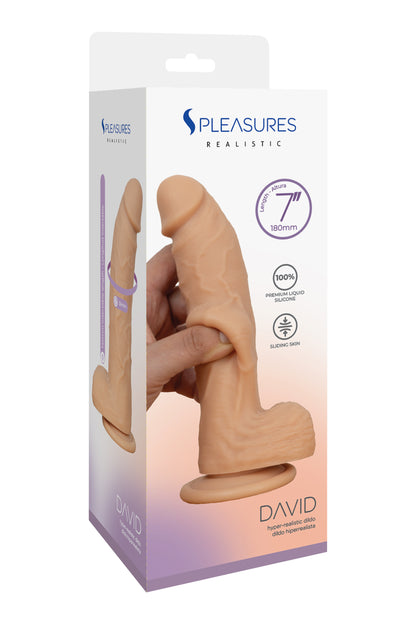 DAVID 7 - Flesh