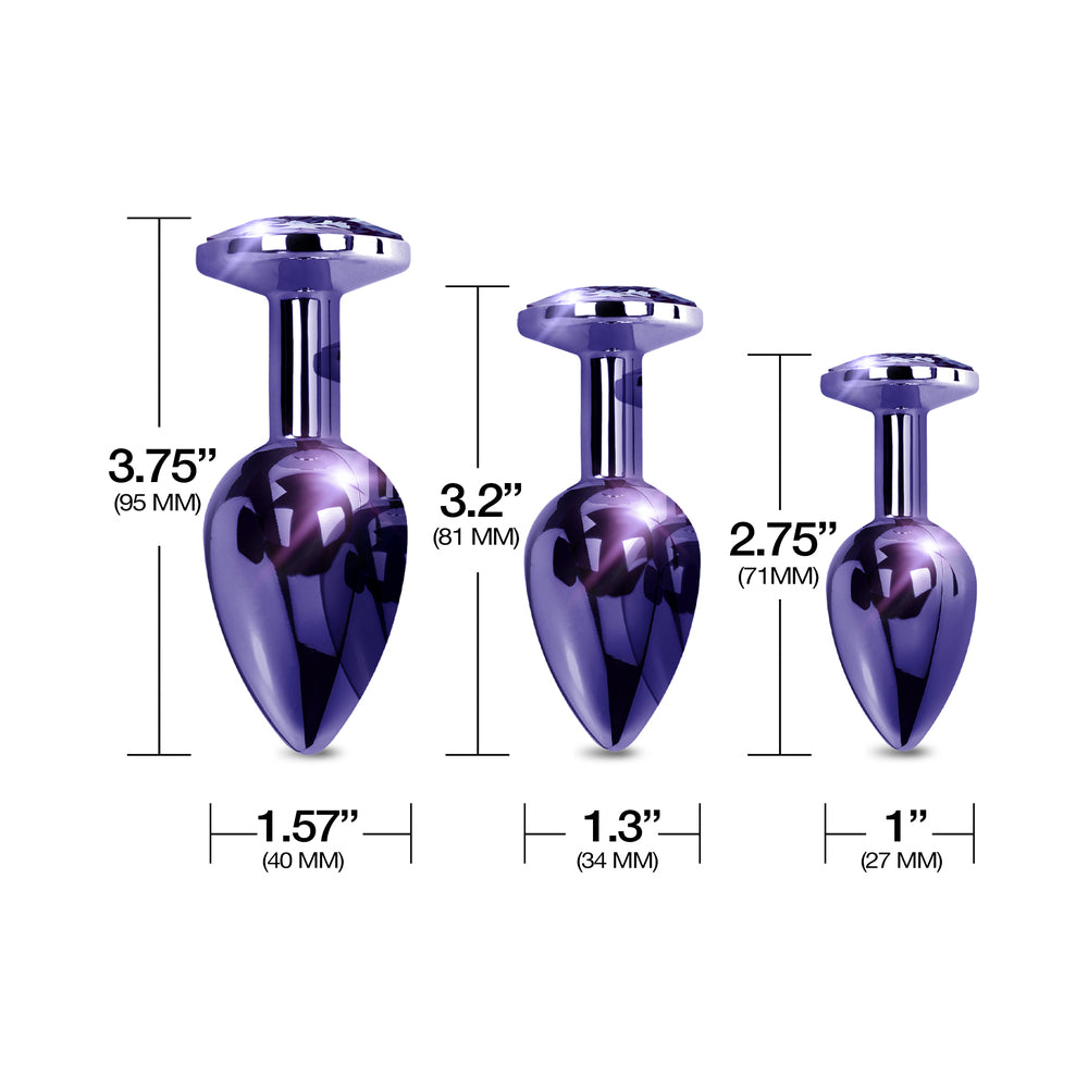 GLOBAL NOVELTIES - NIXIE BUTT PLUG TRAINER SET 3 PIECE METALLIC