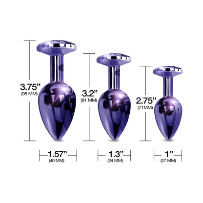 GLOBAL NOVELTIES - NIXIE BUTT PLUG TRAINER SET 3 PIECE METALLIC