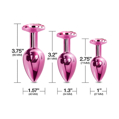 GLOBAL NOVELTIES - NIXIE BUTT PLUG TRAINER SET 3 PIECE METALLIC