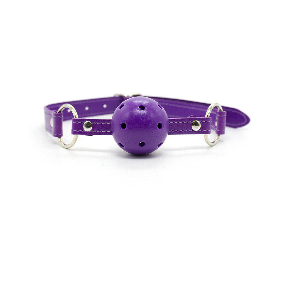 PLE'SUR - 12 PIECE EVERYTHING BONDAGE KIT