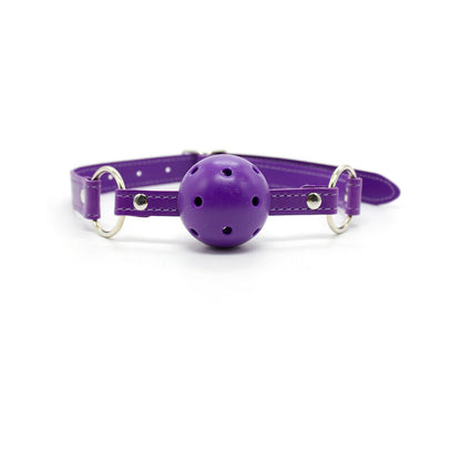 PLE'SUR - 12 PIECE EVERYTHING BONDAGE KIT