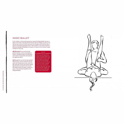 HACHETTE - CLASSIC SEX POSITIONS REINVENTED