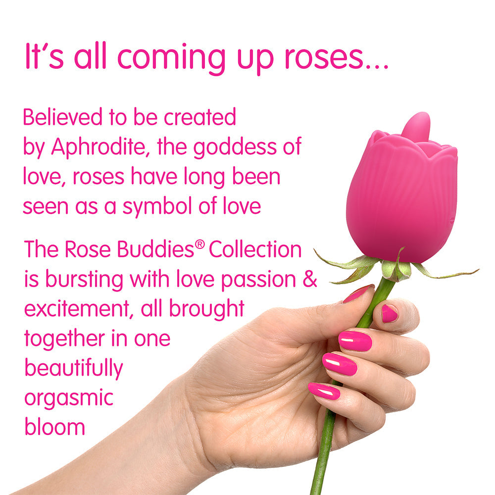 CREATIVE CONCEPTIONS - SKINS ROSE BUDDIES THE ROSE FLIX