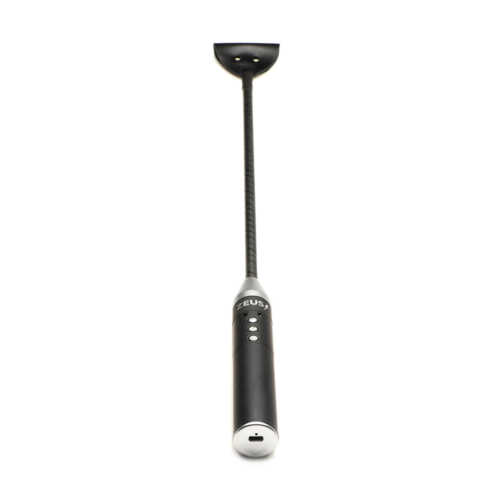 XR BRANDS - ZEUS ELECTROSEX E-STIM CROP
