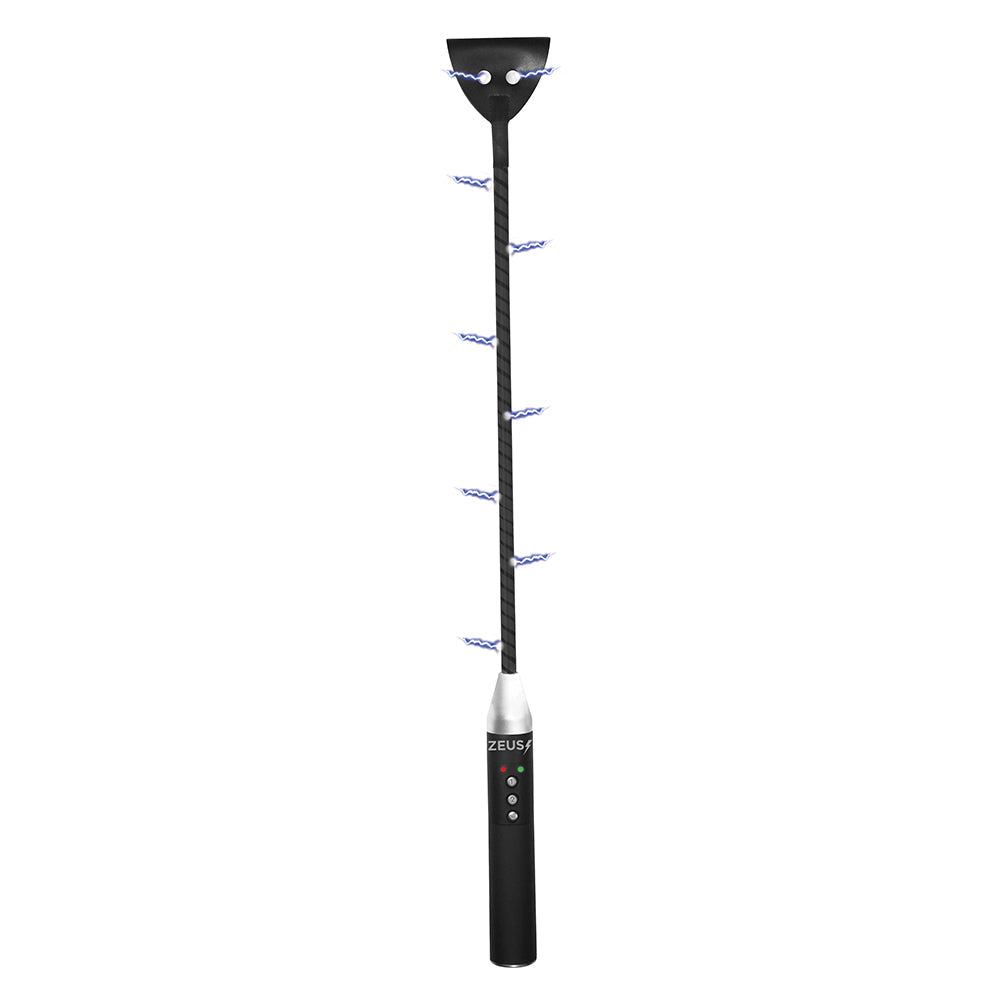 XR BRANDS - ZEUS ELECTROSEX E-STIM CROP