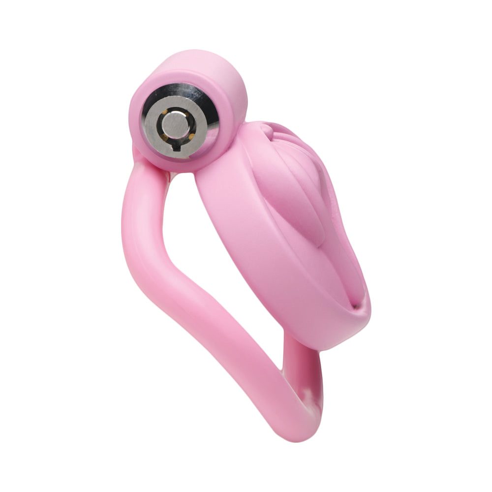 XR BRANDS - MASTER SERIES VULVA LOCKING CHASTITY CAGE