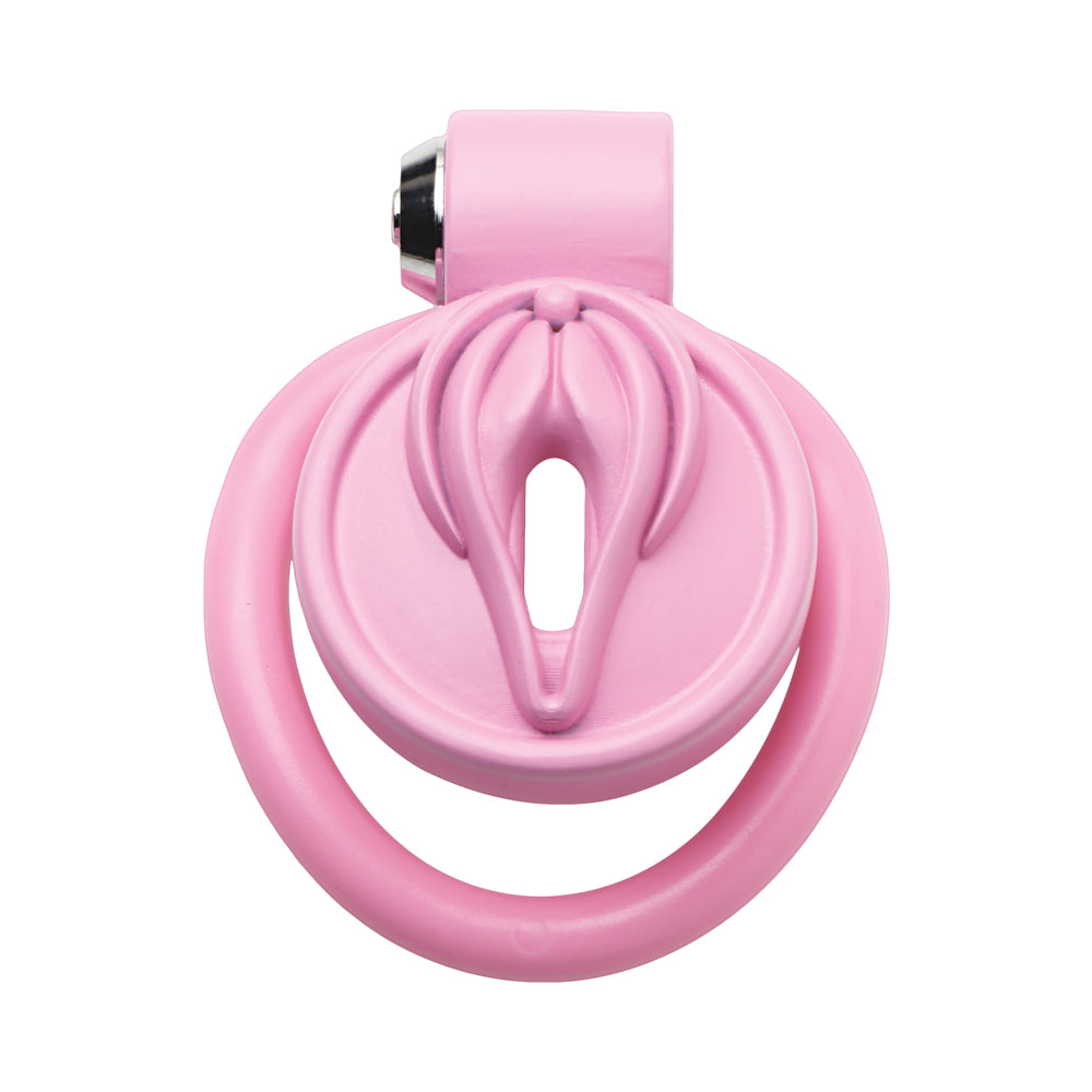 XR BRANDS - MASTER SERIES VULVA LOCKING CHASTITY CAGE